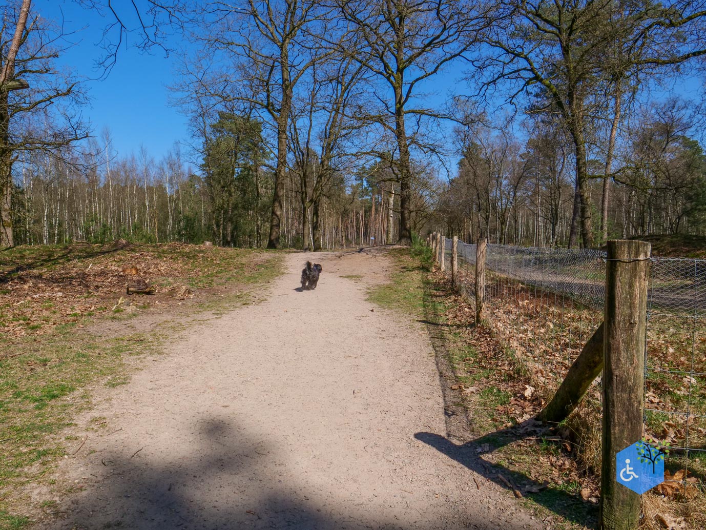 Harskamp_familiepad_en_hondenlosloopgebied_05-04-2025-09