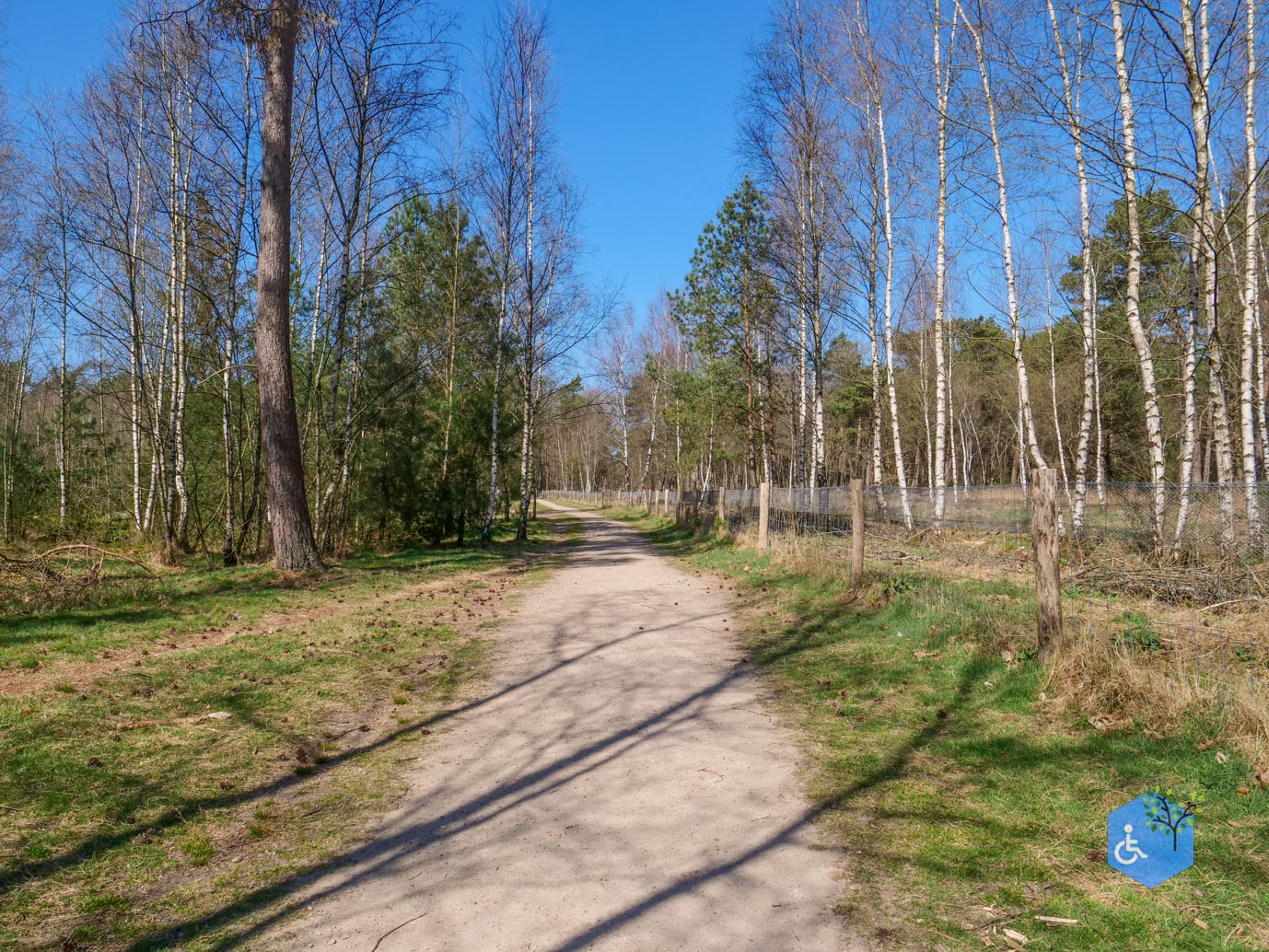 Harskamp_familiepad_en_hondenlosloopgebied_05-04-2025-10