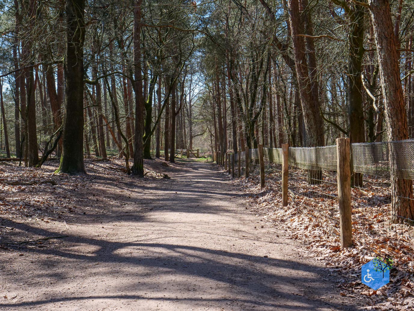 Harskamp_familiepad_en_hondenlosloopgebied_05-04-2025-13