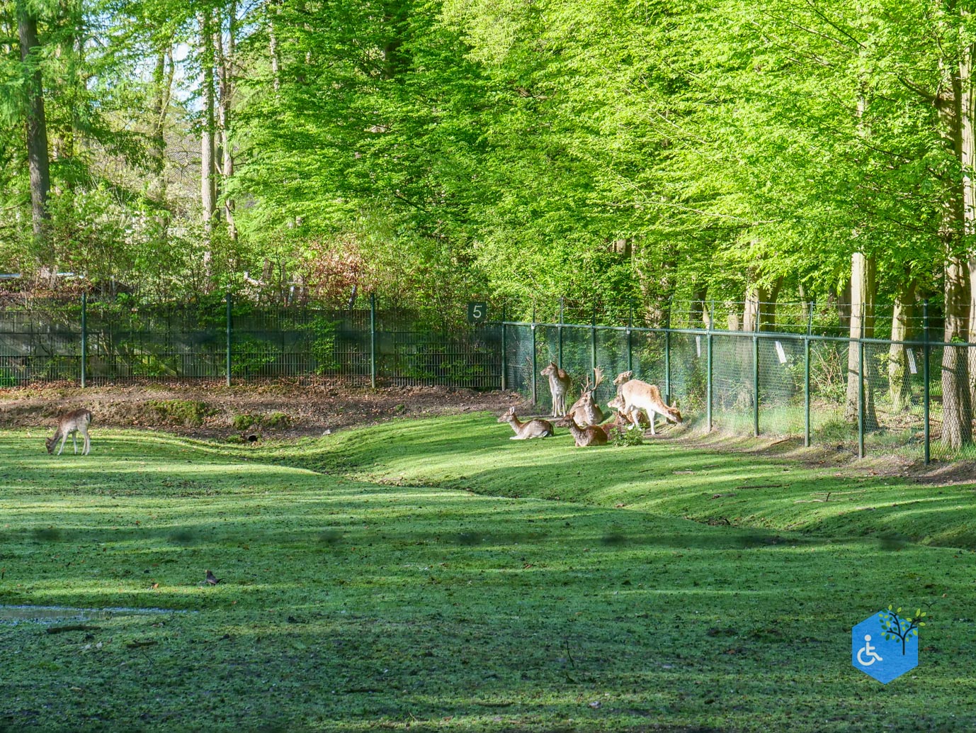 Brunssum_Rondje_Schutterspark_21-04-2025-13