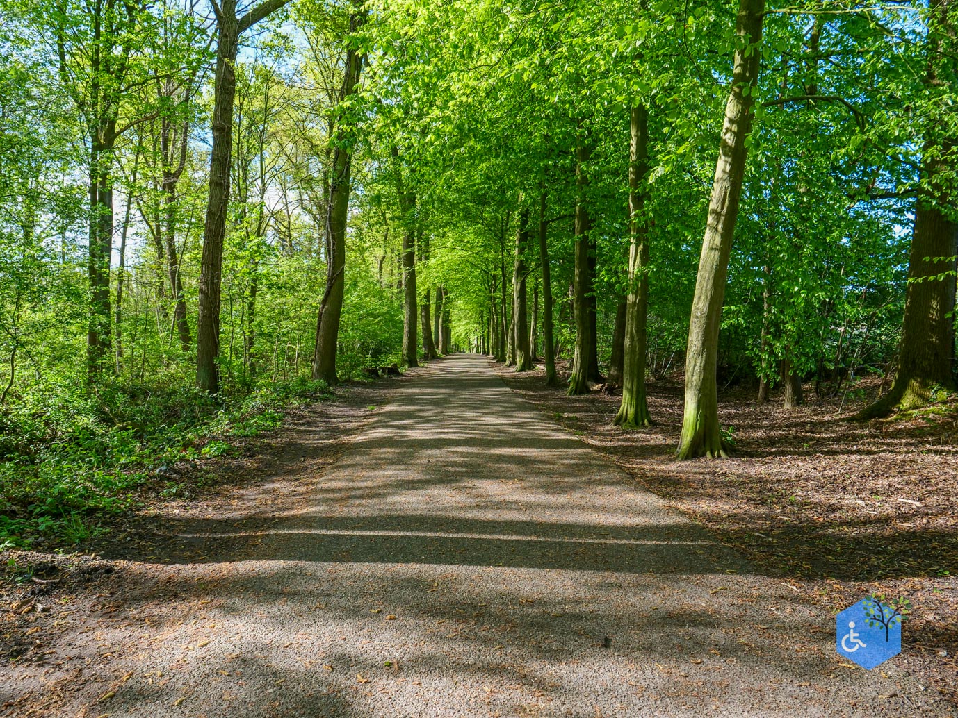 Brunssum_Rondje_Schutterspark_21-04-2025-26