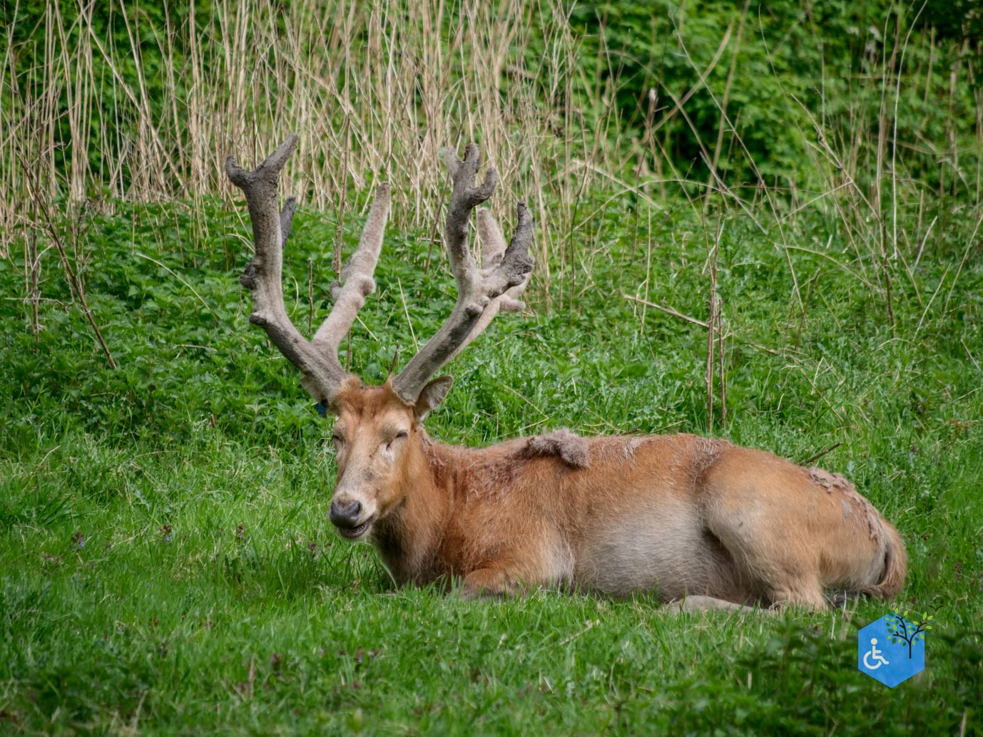 Lelystad_Big_Five_route_25-04-2025-38