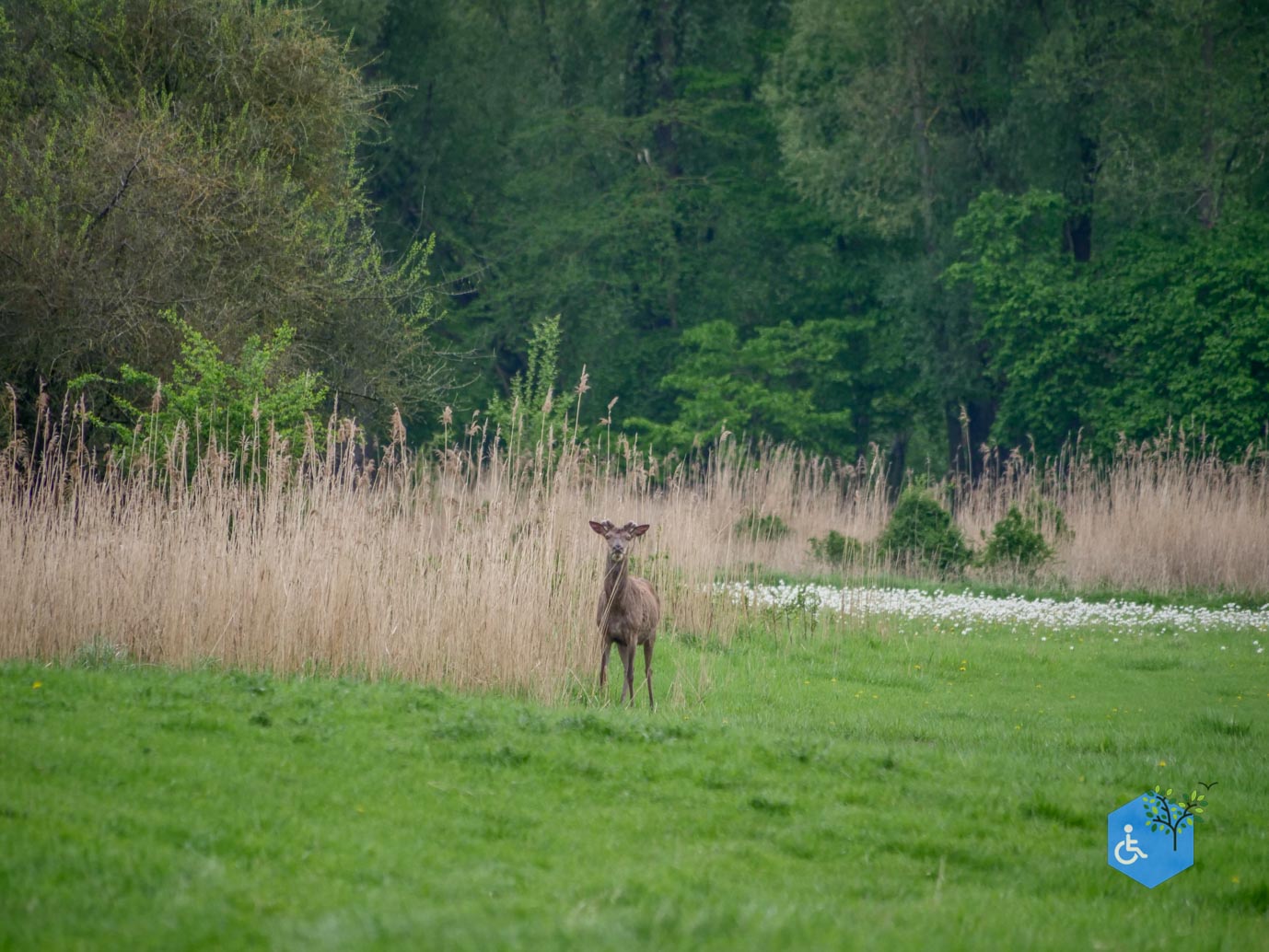 Lelystad_Big_Five_route_25-04-2025-67