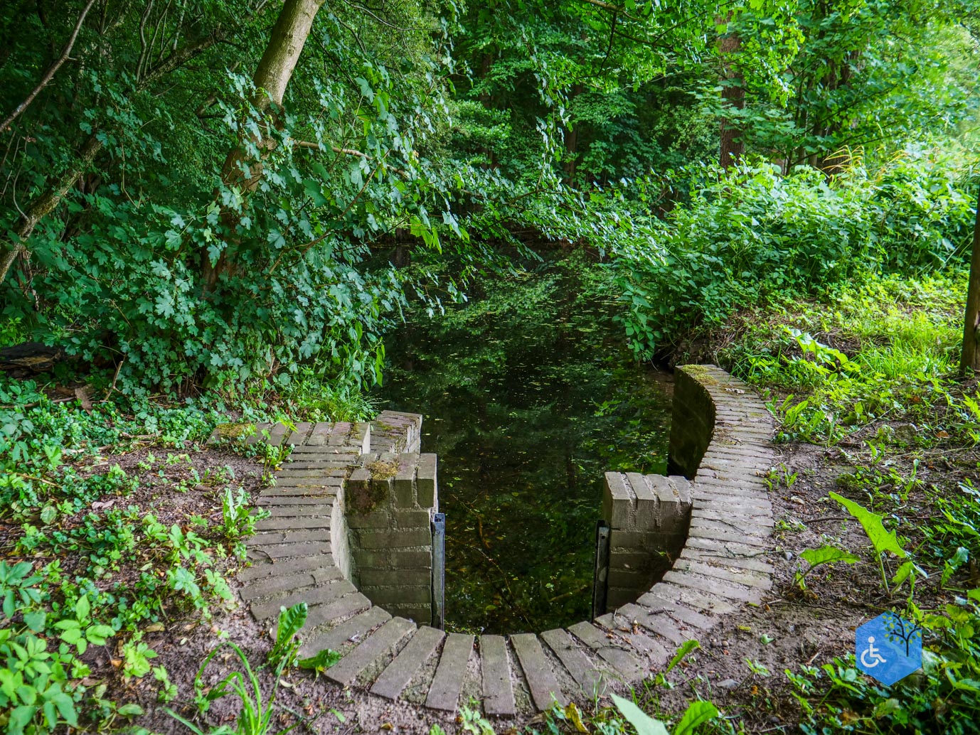 Doorwerth_kasteel_Doorwerth_lang_14-06-2025-27