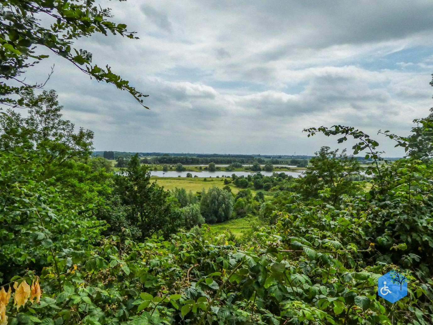 Wageningen_Belmonte_Arboretum_28-06-2025-17
