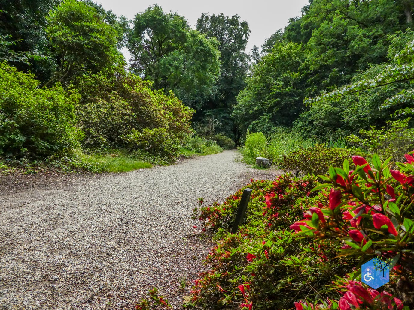 Wageningen_Belmonte_Arboretum_28-06-2025-33