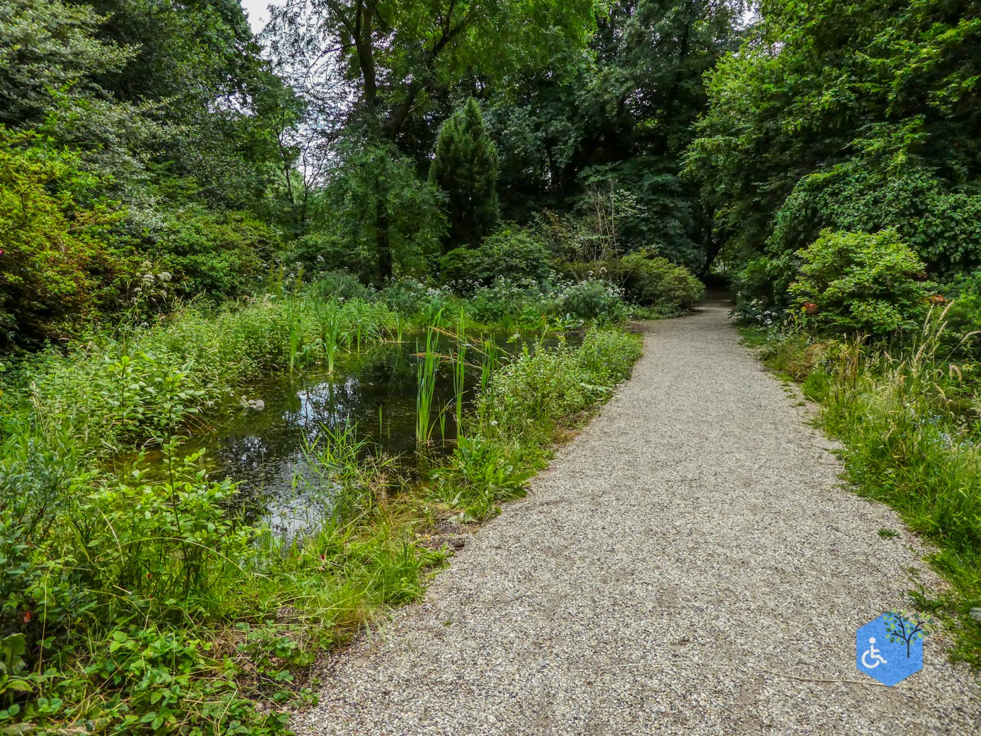 Wageningen_Belmonte_Arboretum_28-06-2025-35