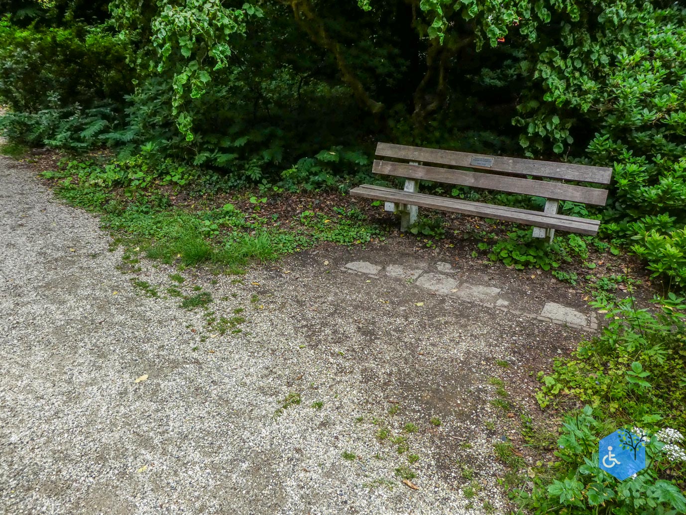 Wageningen_Belmonte_Arboretum_28-06-2025-36