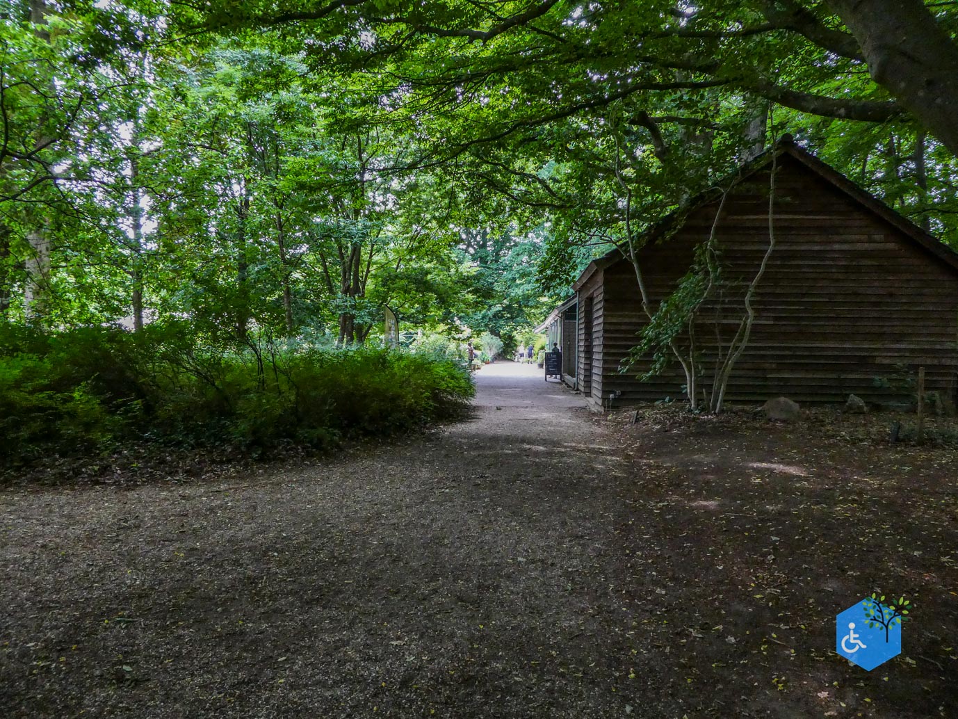 Wageningen_Belmonte_Arboretum_28-06-2025-38