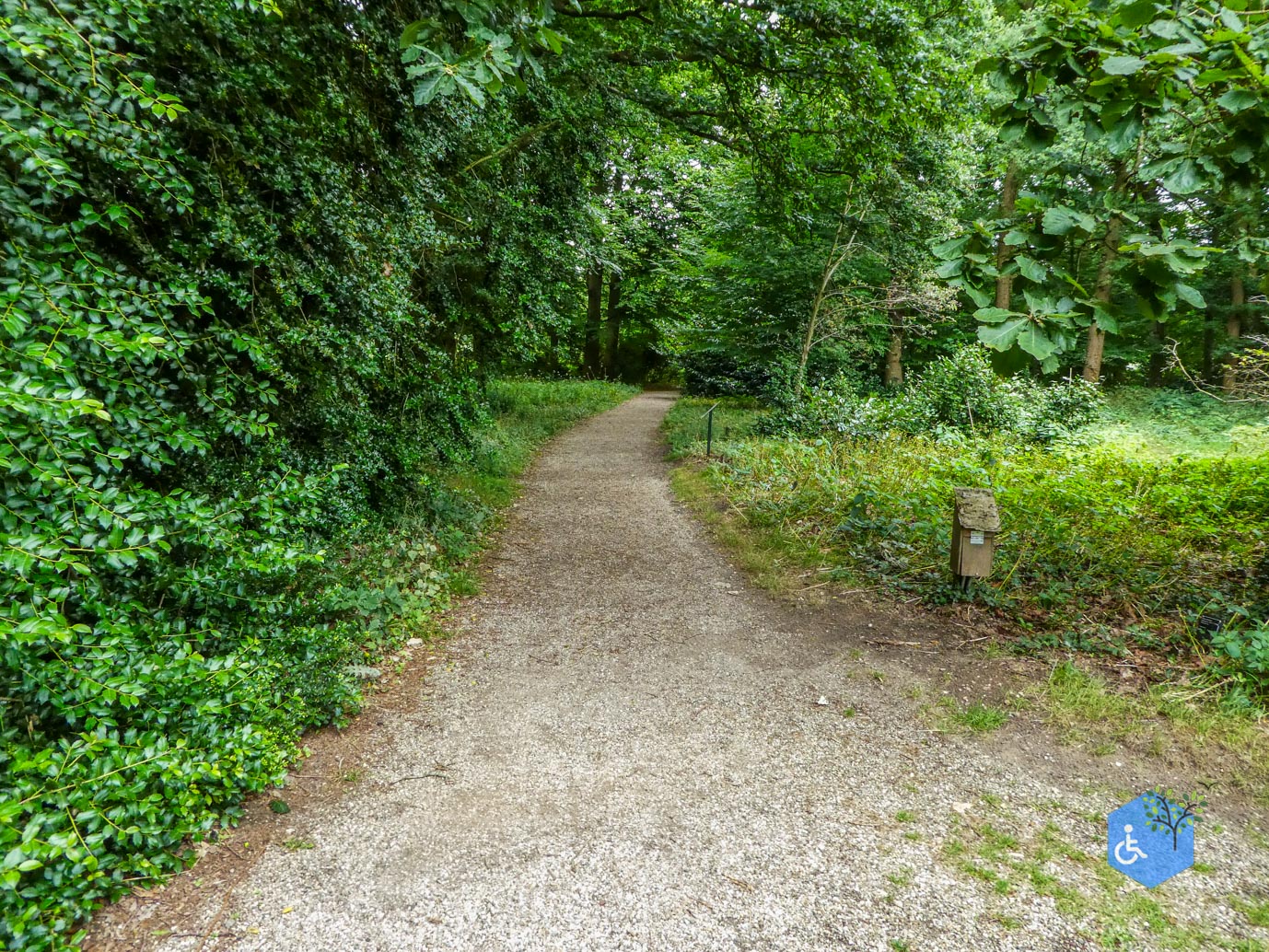 Wageningen_Belmonte_Arboretum_28-06-2025-39