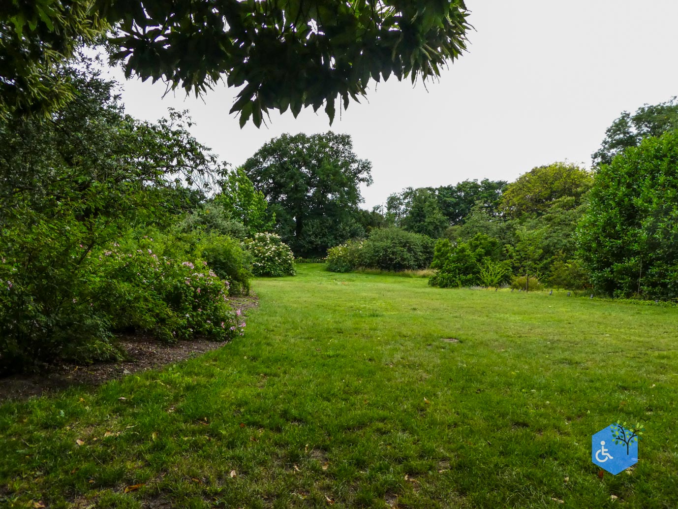 Wageningen_Belmonte_Arboretum_28-06-2025-45