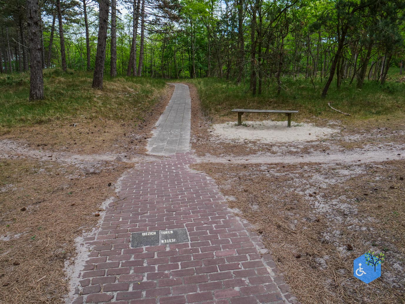 Westerschouwen_Familiepad_Westerschouwen_lang_16-05-2025-16
