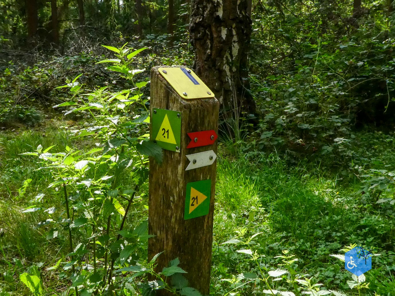 Boxtel_Van_Tienhoven_Route_30-07-2025-09