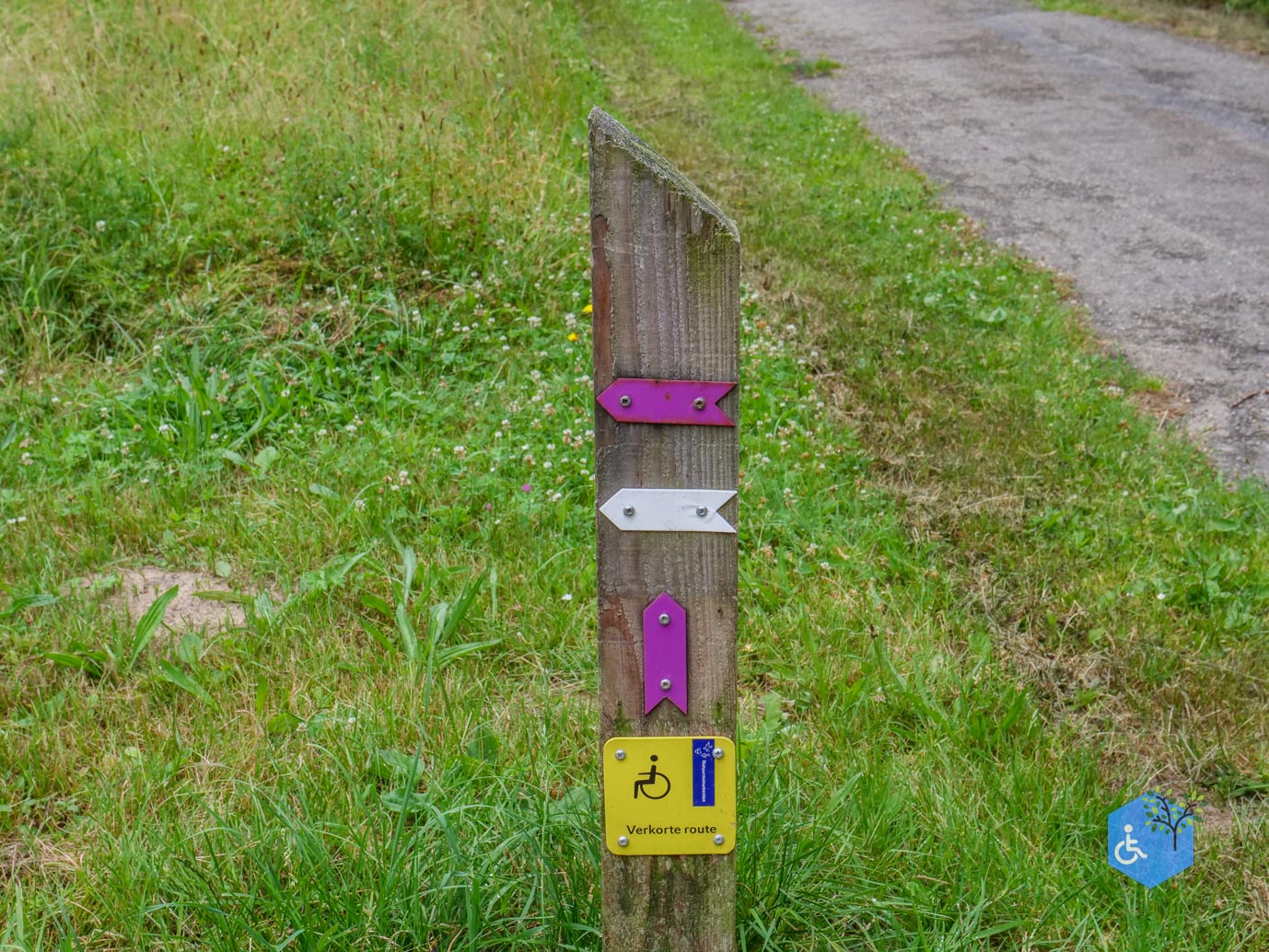 Marknesse_Waterloopbos_06-07-2025-043