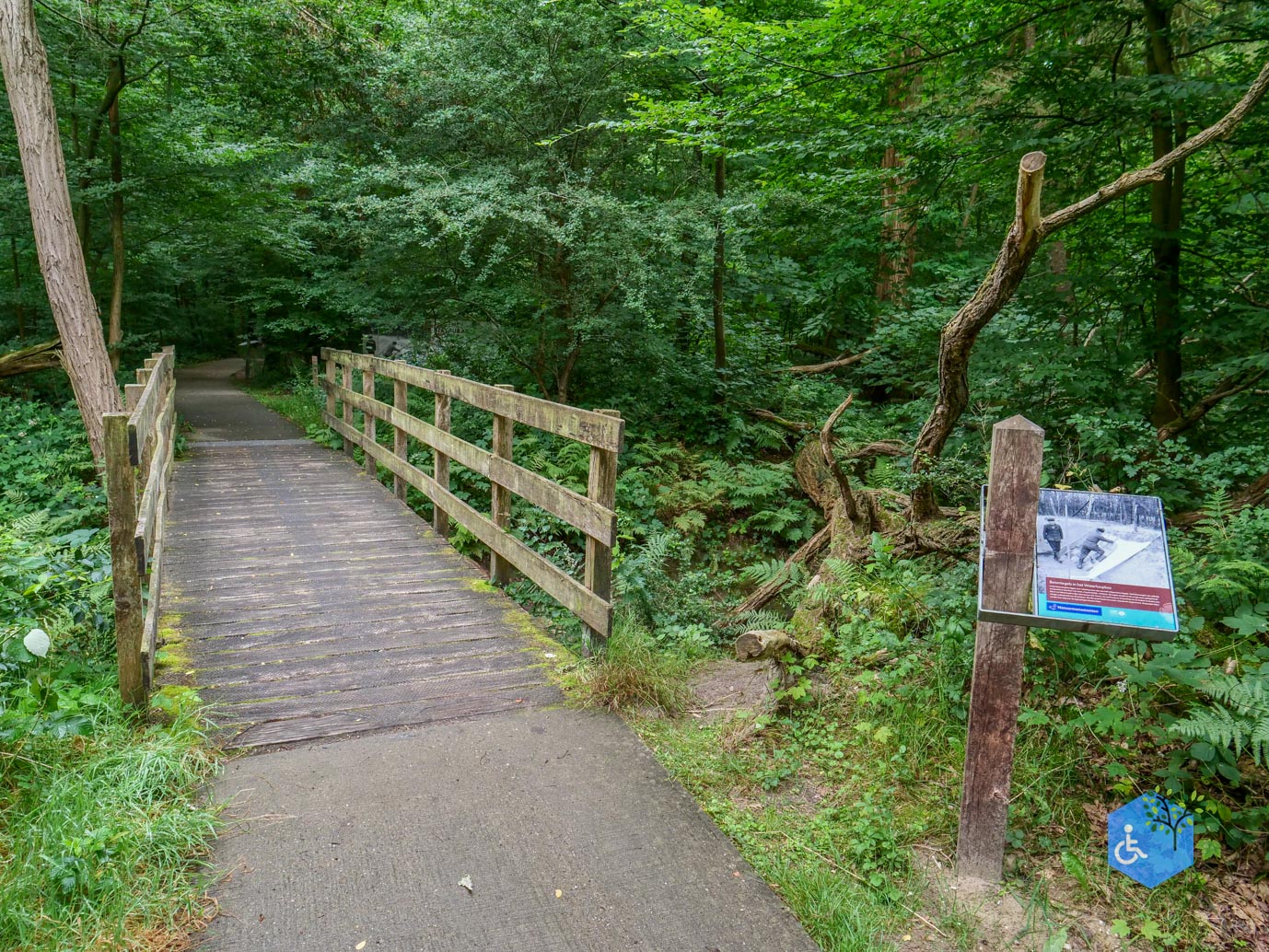 Marknesse_Waterloopbos_06-07-2025-051
