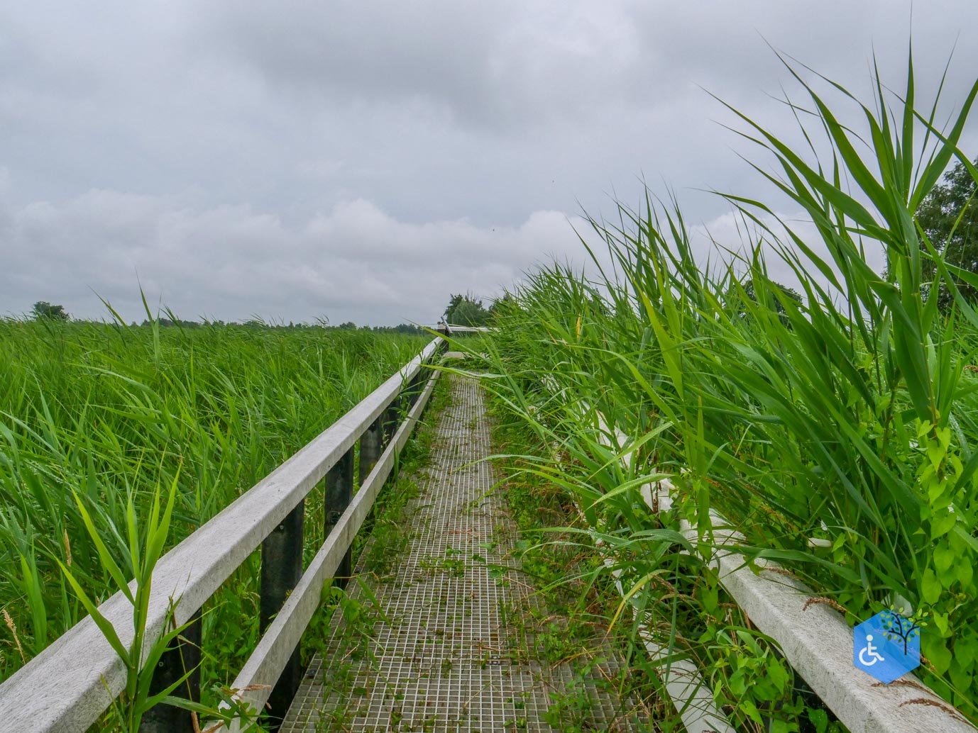 Sint_Jansklooster_Vlonderpad_de_Wieden_06-07-2025-24