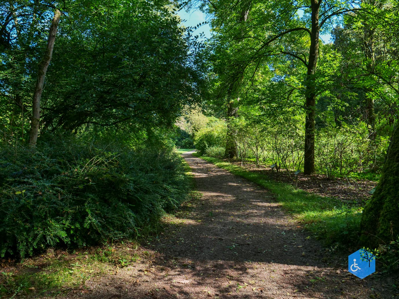 De_Lutte_Arboretum_Poort_Bulten_06-09-2025-12