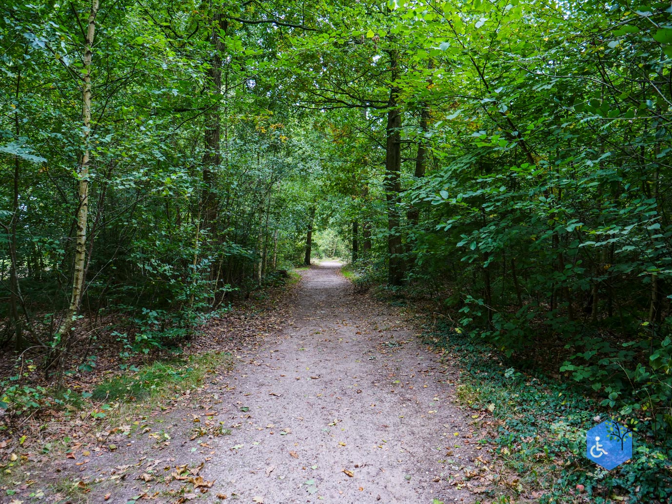 Doorn_Landgoed_Moersbergen_26-09-2025-13