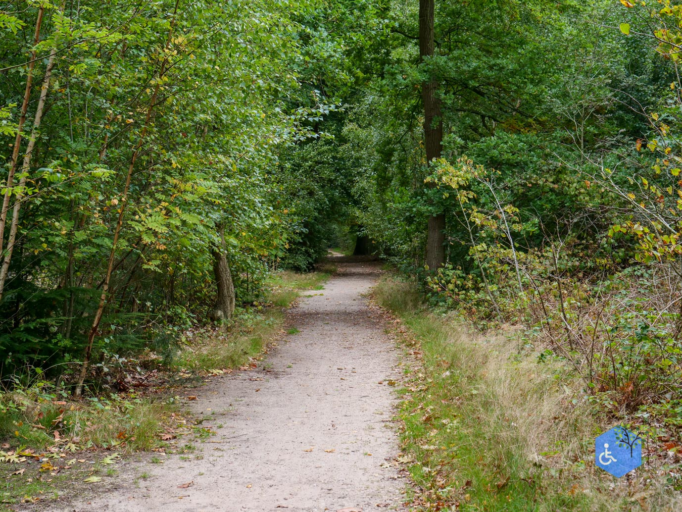 Doorn_Landgoed_Moersbergen_26-09-2025-14