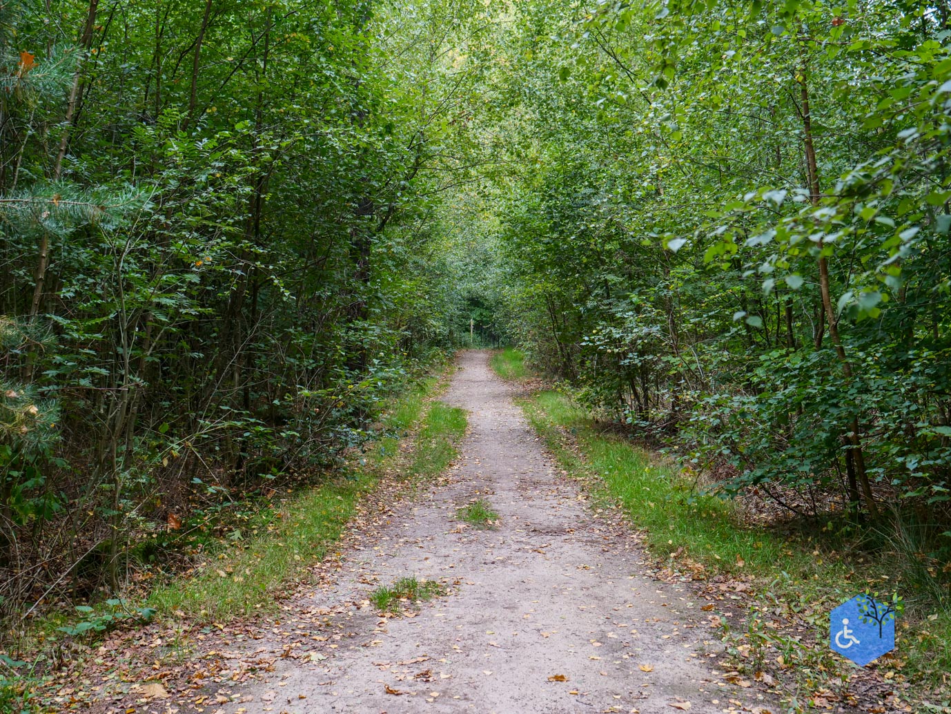 Doorn_Landgoed_Moersbergen_26-09-2025-15