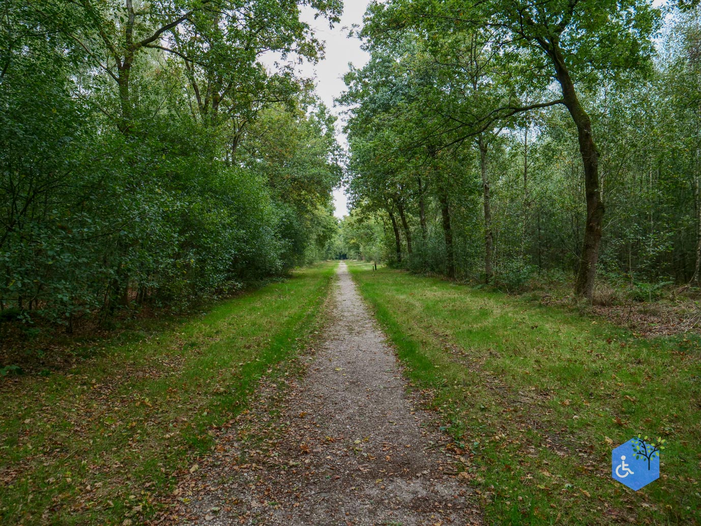 Doorn_Landgoed_Moersbergen_26-09-2025-18
