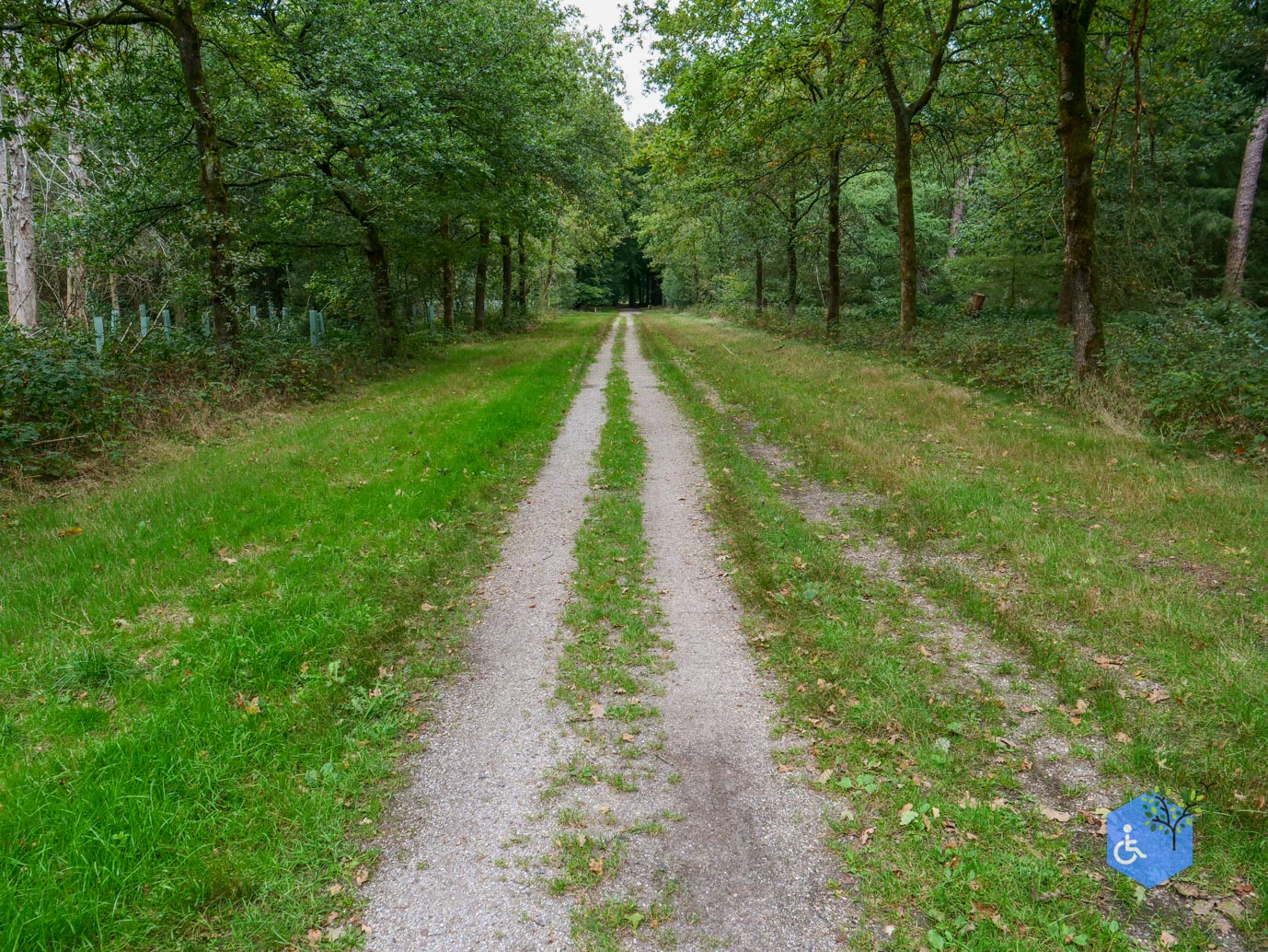 Doorn_Landgoed_Moersbergen_26-09-2025-21