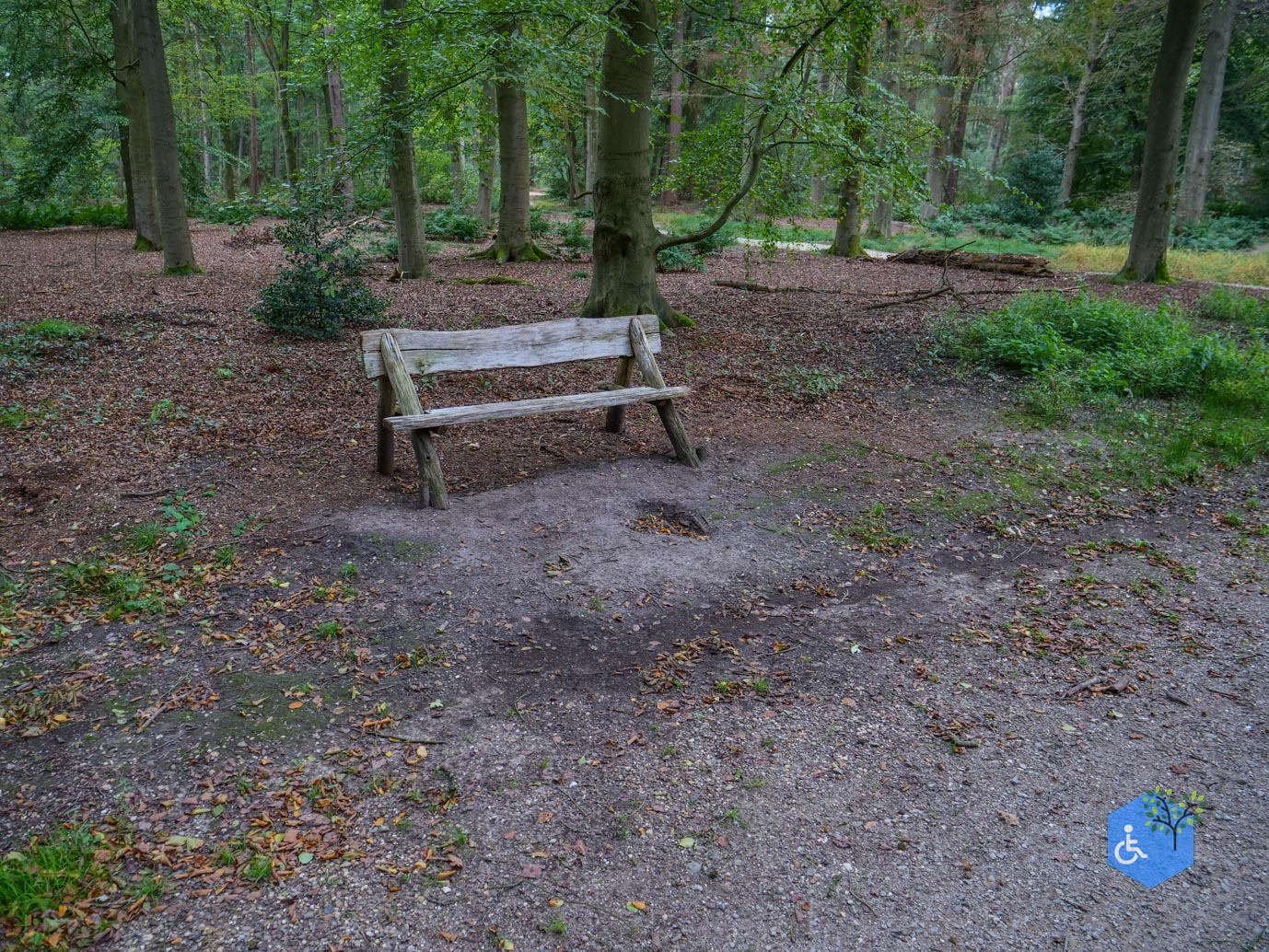 Doorn_Landgoed_Moersbergen_26-09-2025-23