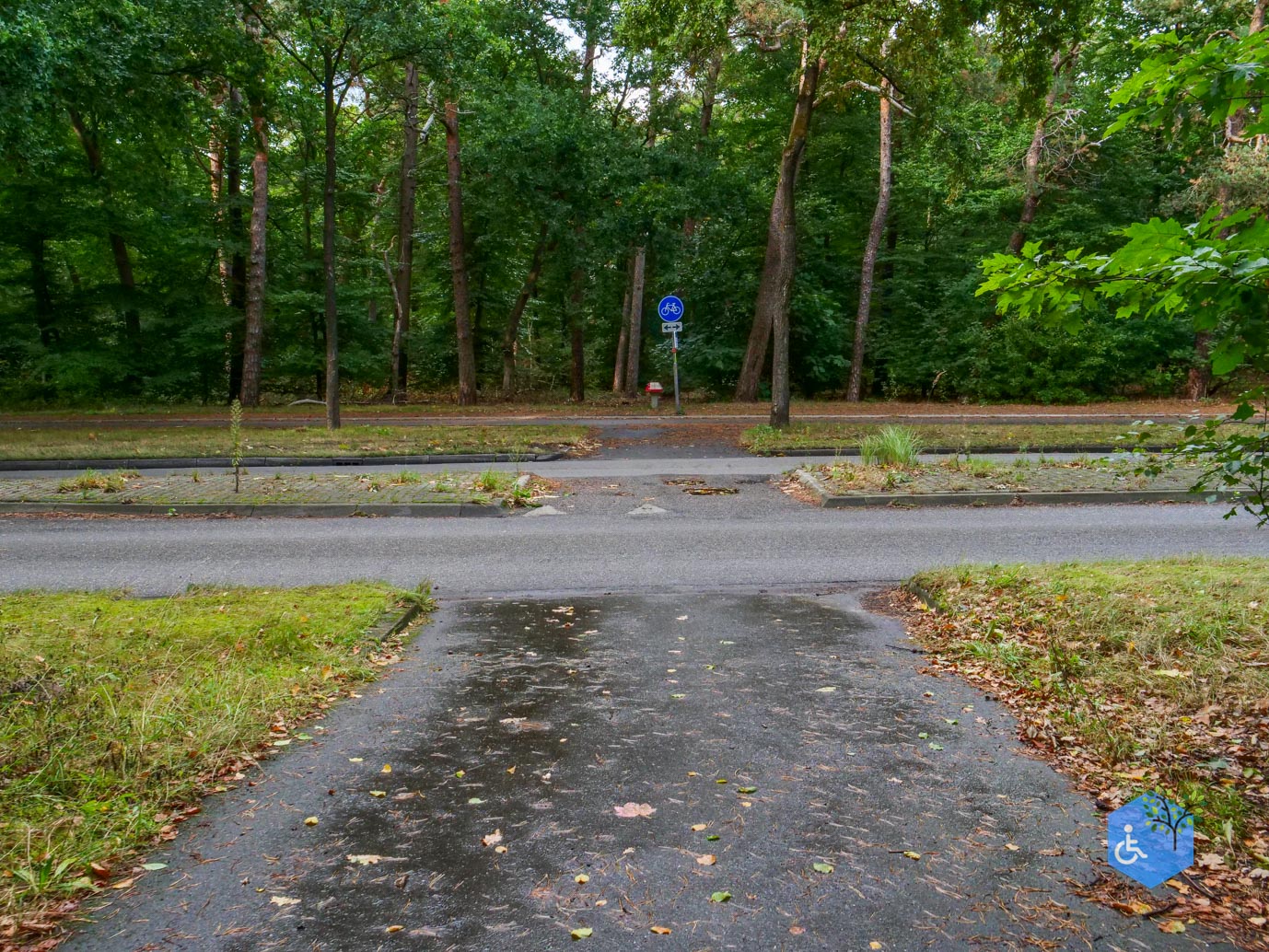 Driebergen_Heidetuin_11-09-2025-38