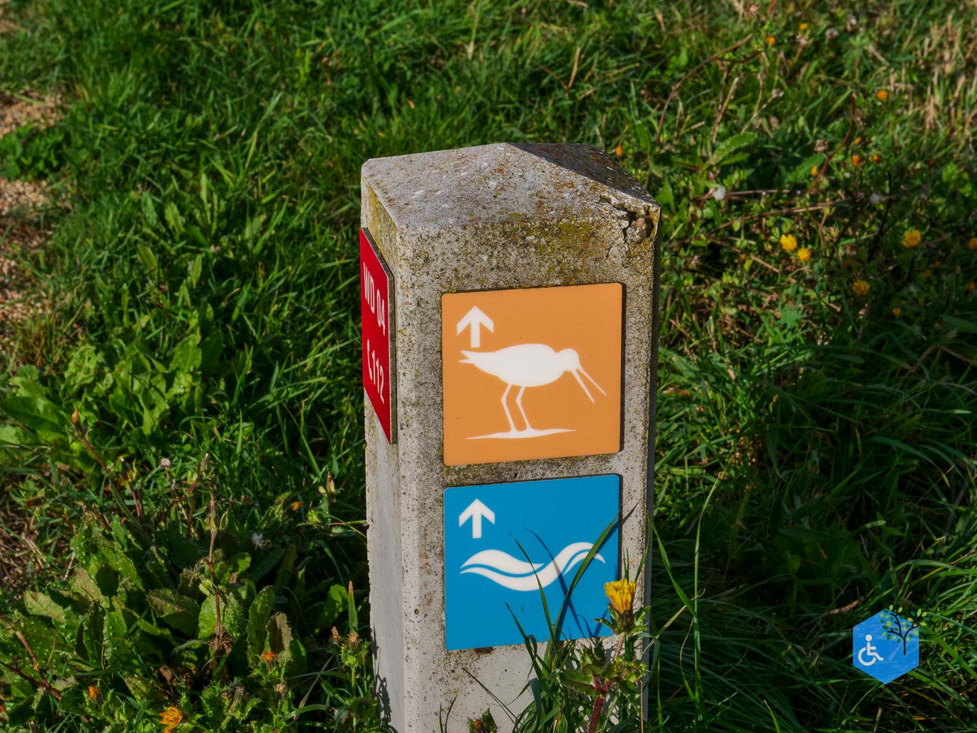 Breskens_Waterdunen_24-10-2025-004