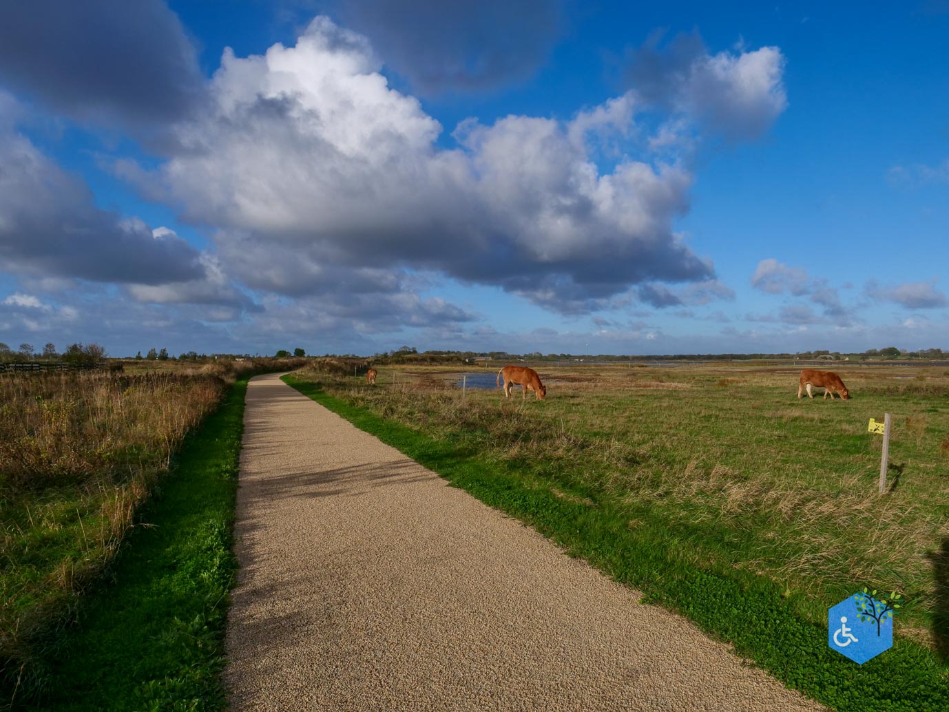 Breskens_Waterdunen_24-10-2025-098