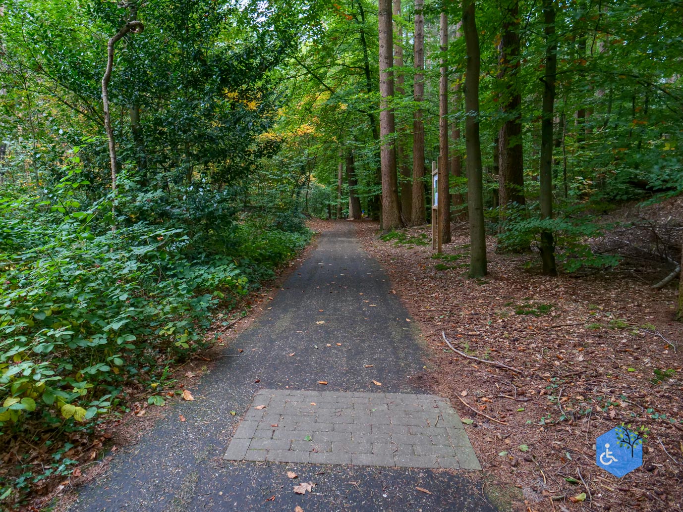 Nunspeet_Rolstoelpad_11-10-2025-10