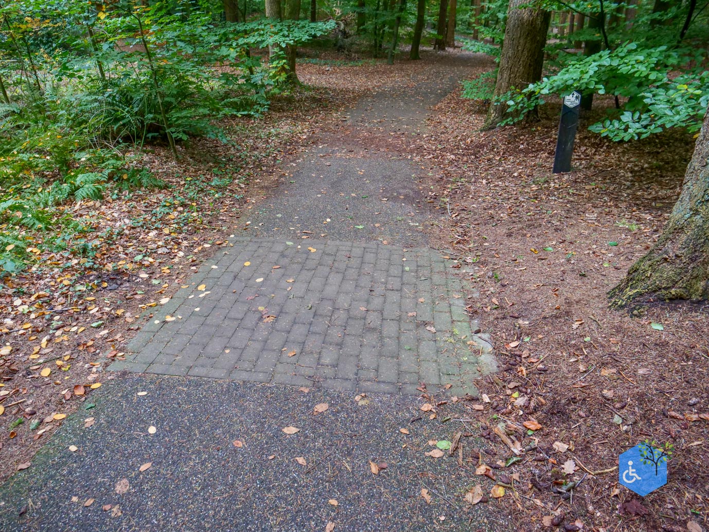 Nunspeet_Rolstoelpad_11-10-2025-14