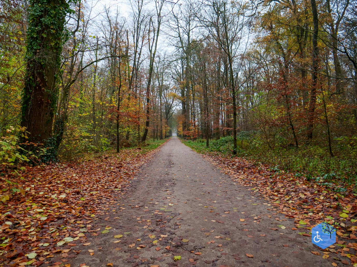 Bunnik_Bomenwandeling_Amelisweerd_28-11-2025-10