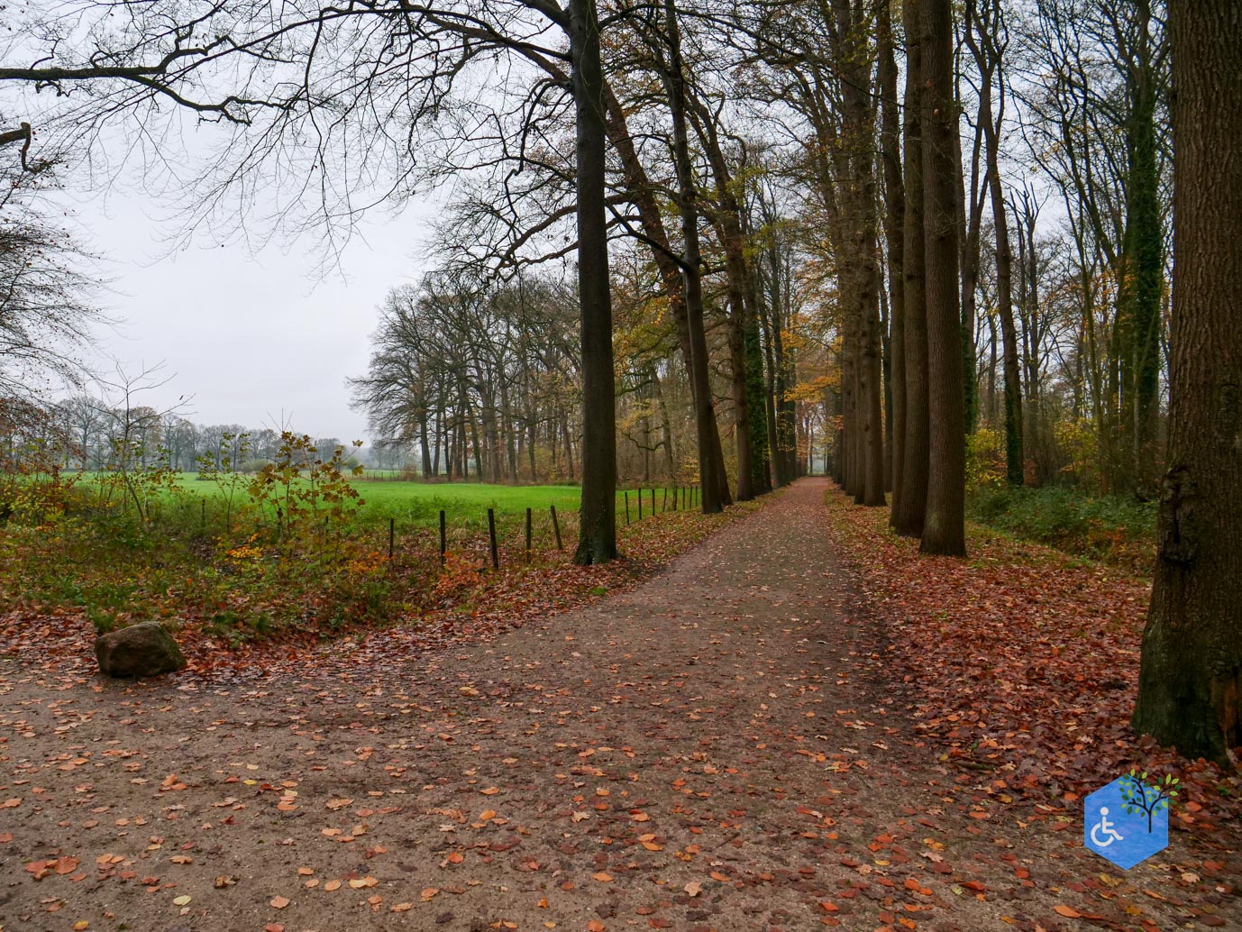 Bunnik_Bomenwandeling_Amelisweerd_28-11-2025-11