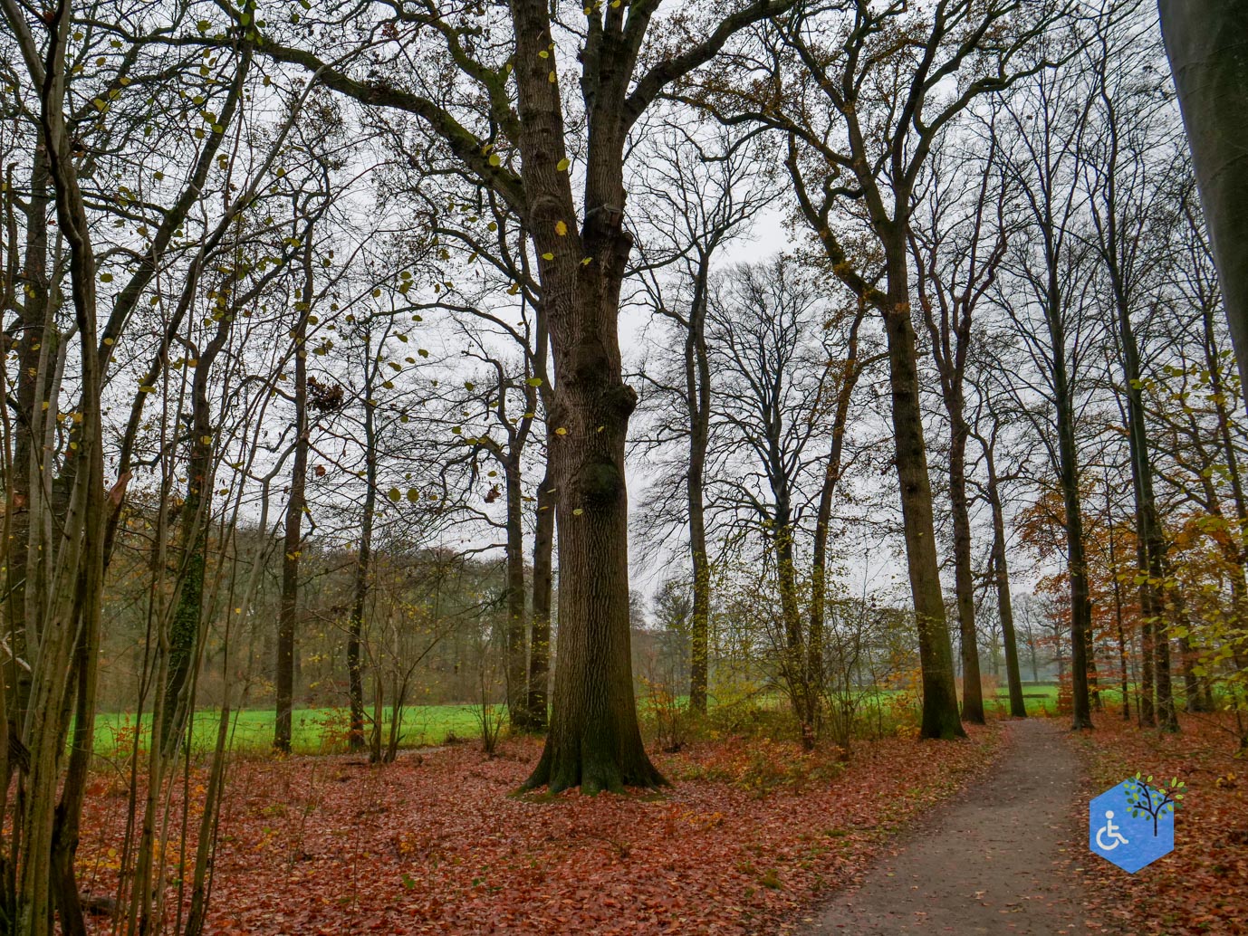 Bunnik_Bomenwandeling_Amelisweerd_28-11-2025-12