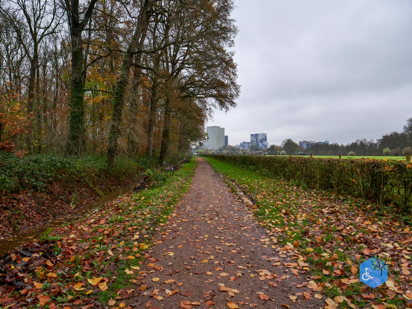 Bunnik_Bomenwandeling_Amelisweerd_28-11-2025-24