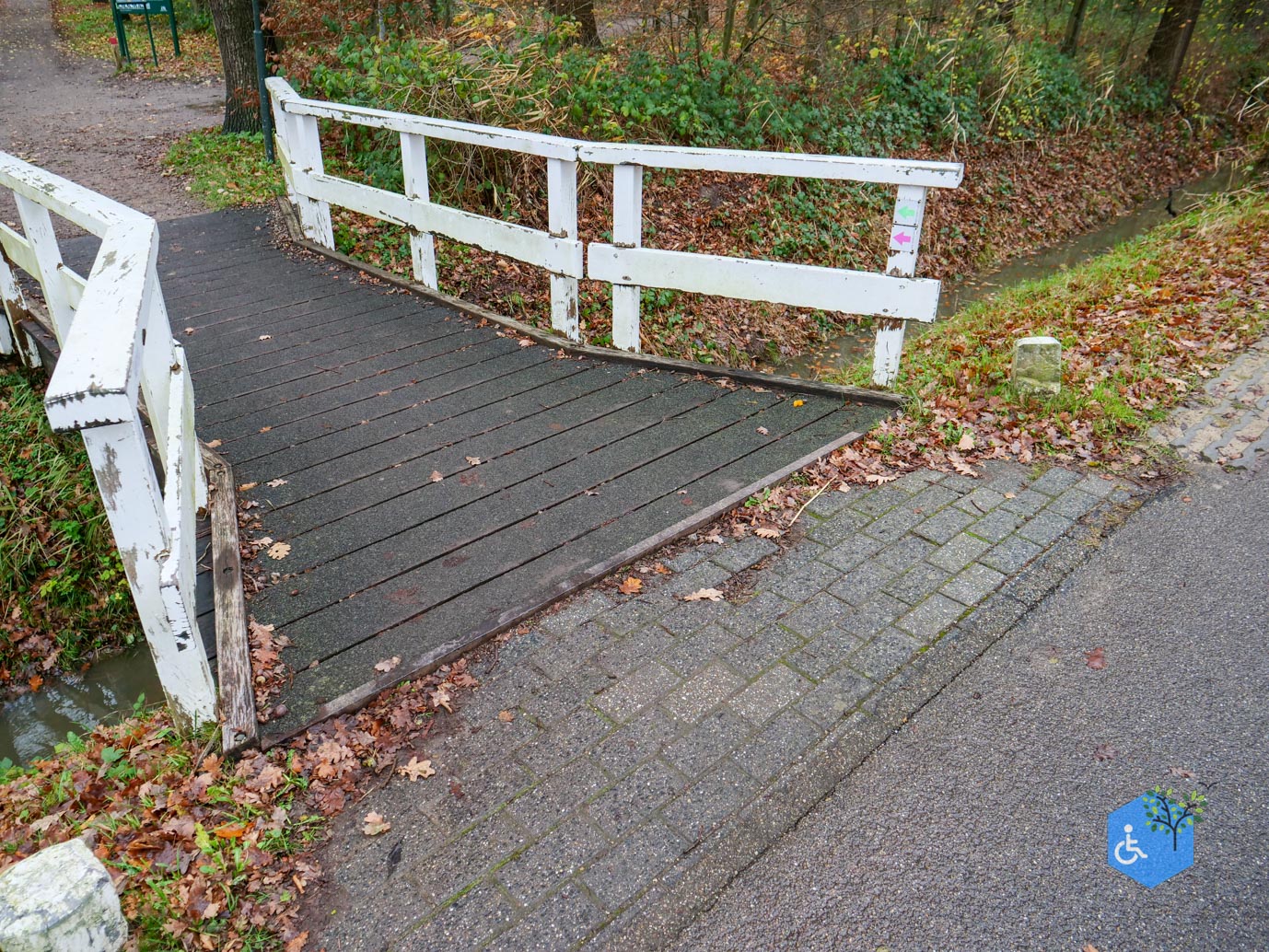 Bunnik_Bomenwandeling_Amelisweerd_28-11-2025-27