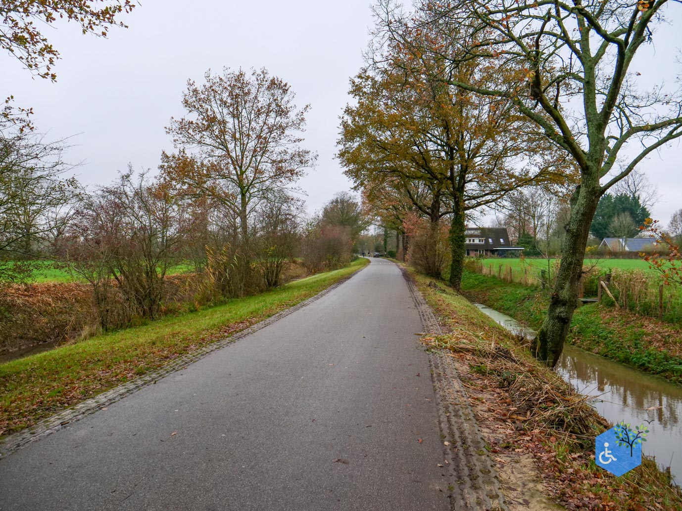 Bunnik_Bomenwandeling_Amelisweerd_28-11-2025-28