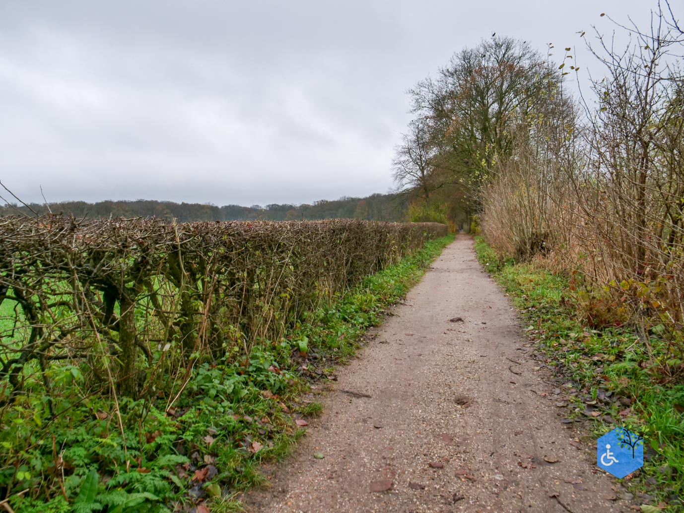 Bunnik_Bomenwandeling_Amelisweerd_28-11-2025-32