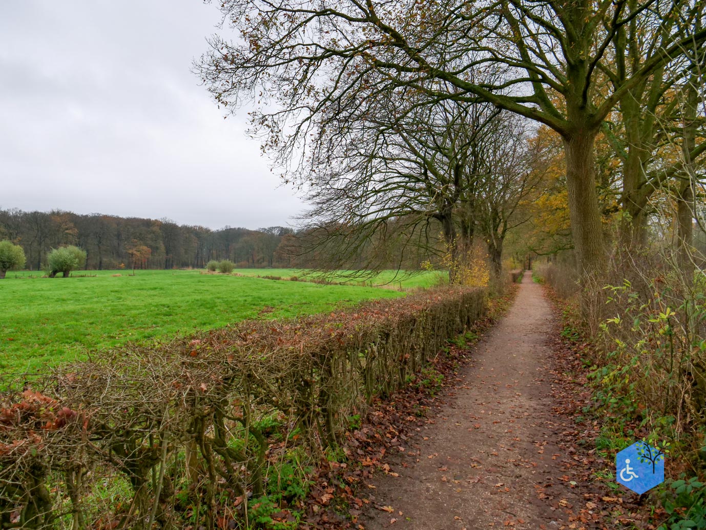 Bunnik_Bomenwandeling_Amelisweerd_28-11-2025-33
