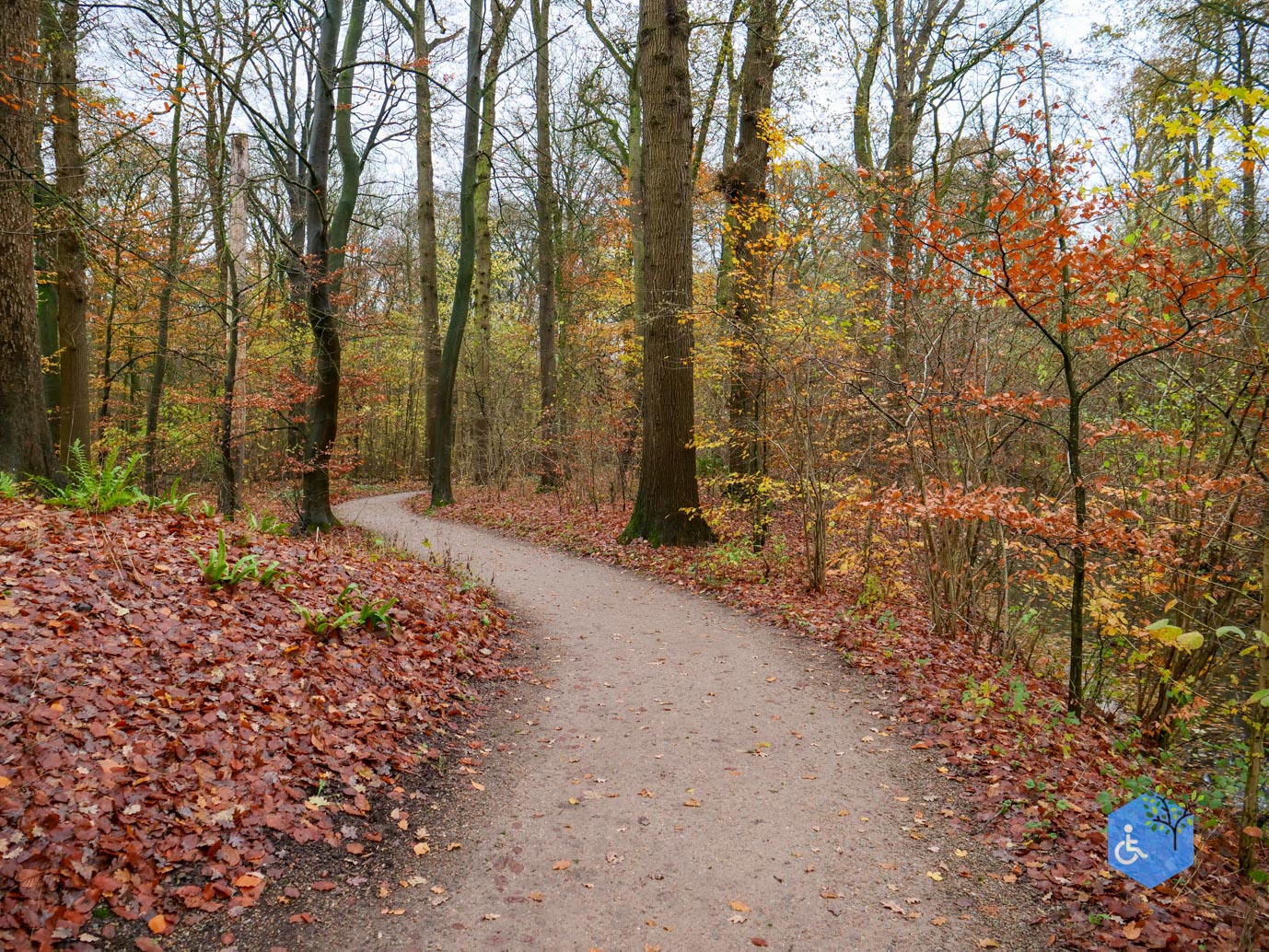 Bunnik_Bomenwandeling_Amelisweerd_28-11-2025-35