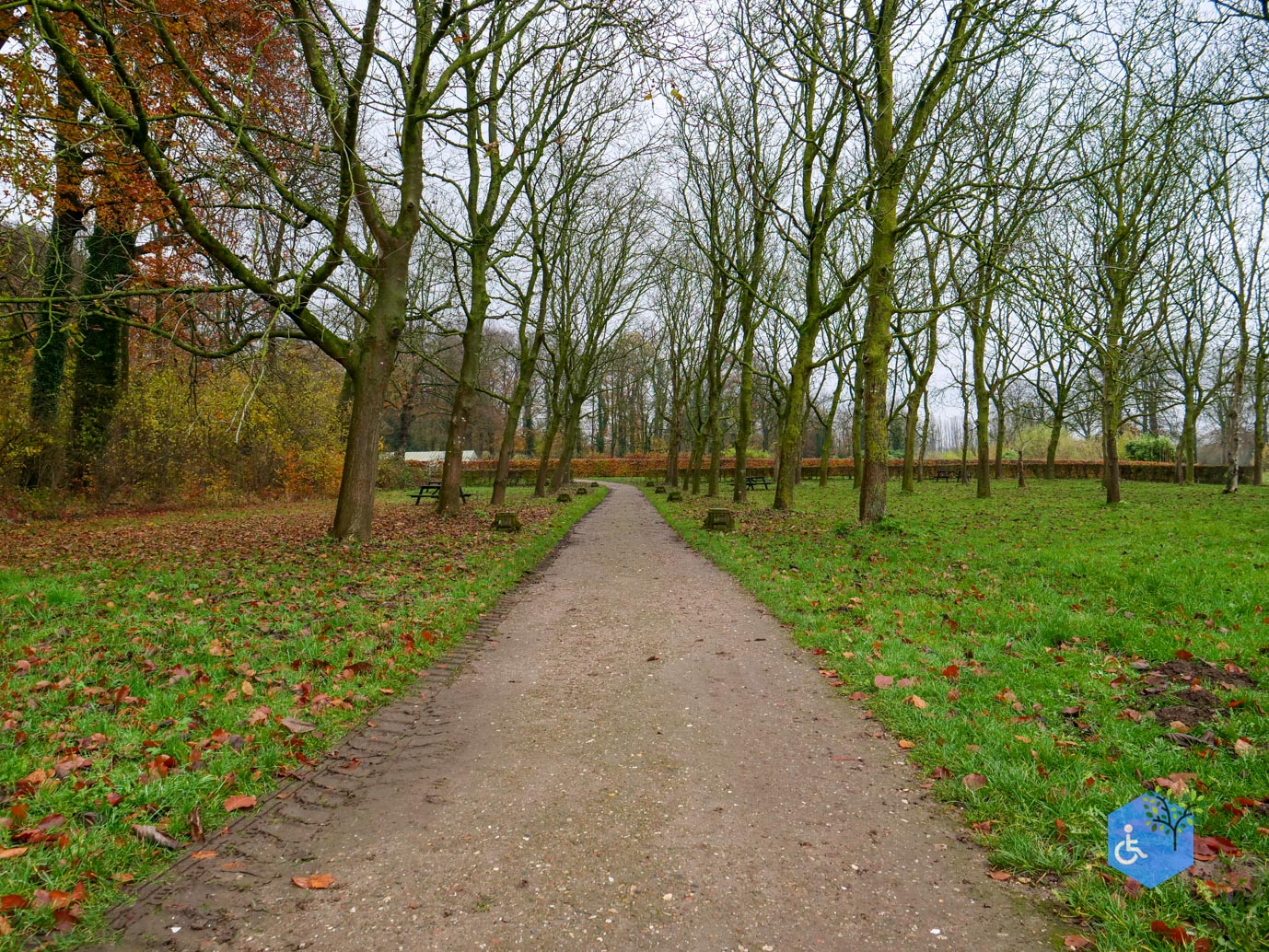 Bunnik_Bomenwandeling_Amelisweerd_28-11-2025-40