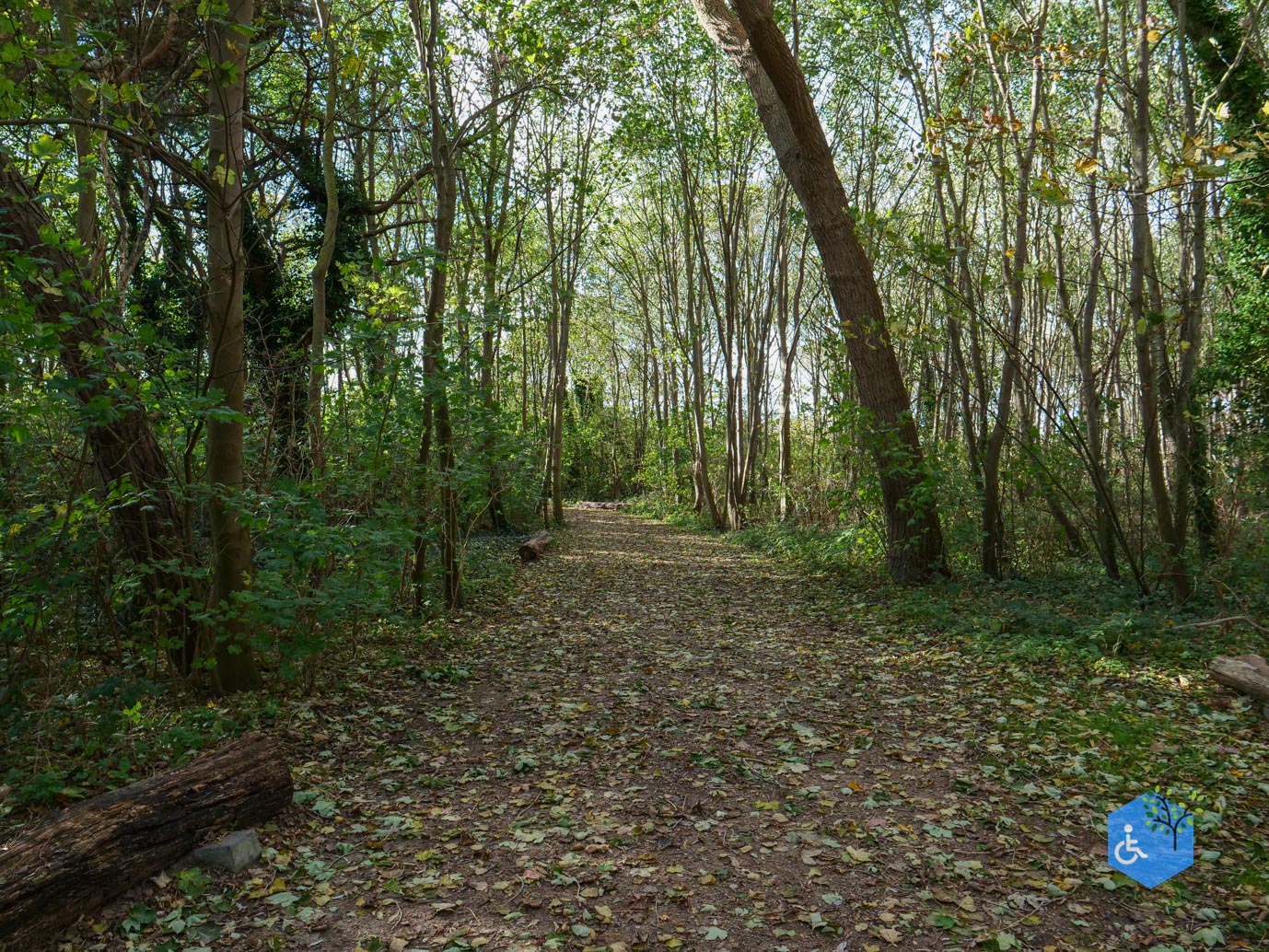 Knokke-Heist_Zwin_Natuurpark_24-10-2025-56