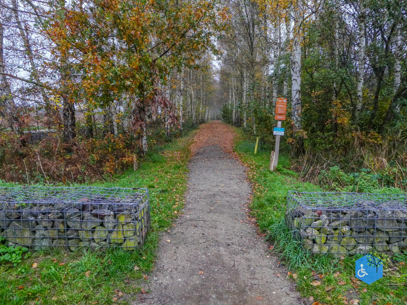 Utrecht_Ommetje_Gagelbos_14-11-2025-05