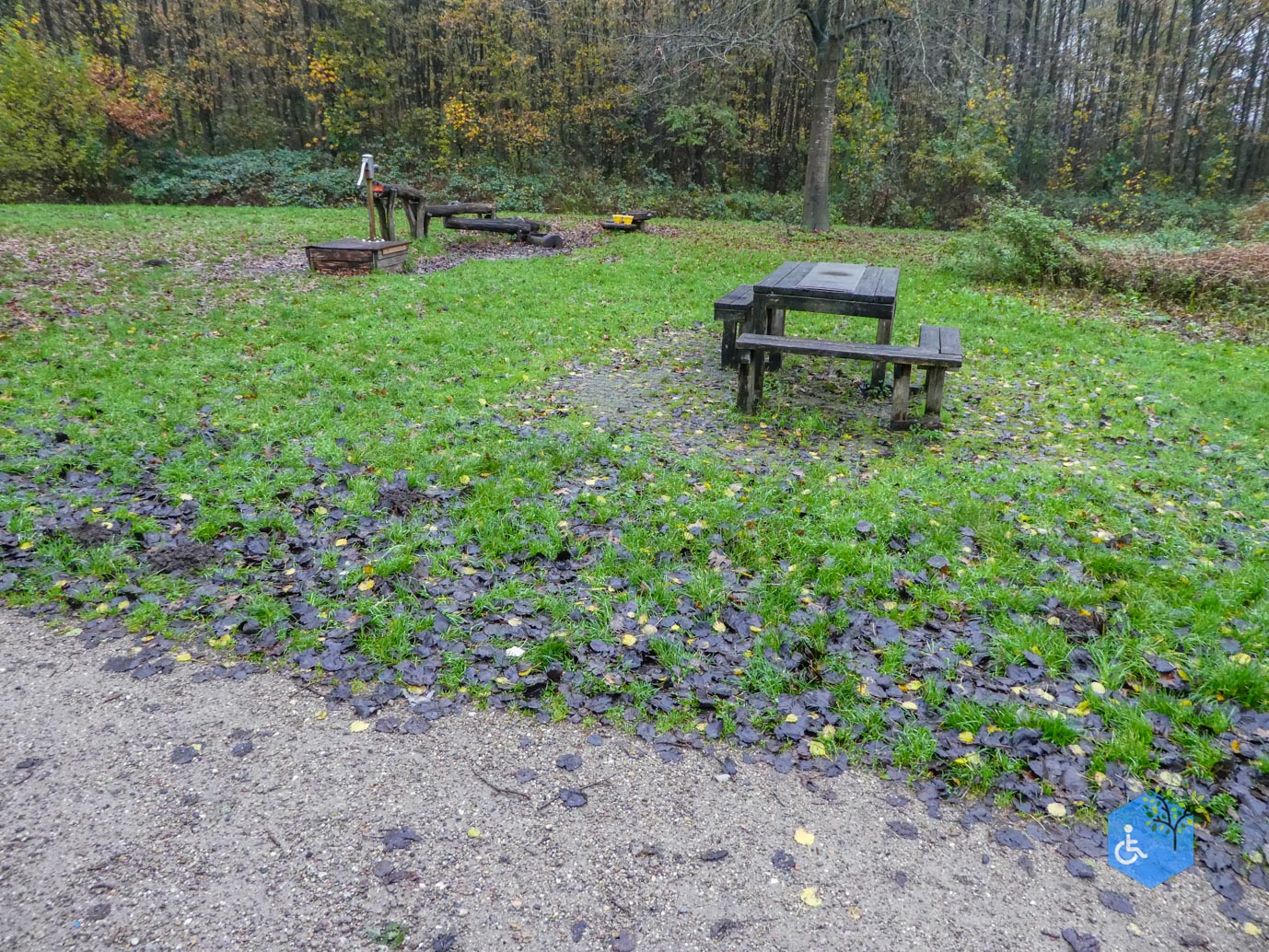 Utrecht_Ommetje_Gagelbos_14-11-2025-10