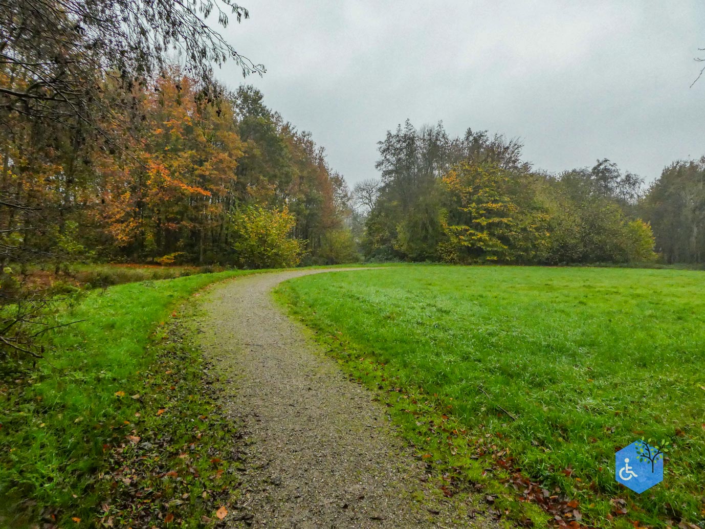 Utrecht_Ommetje_Gagelbos_14-11-2025-21