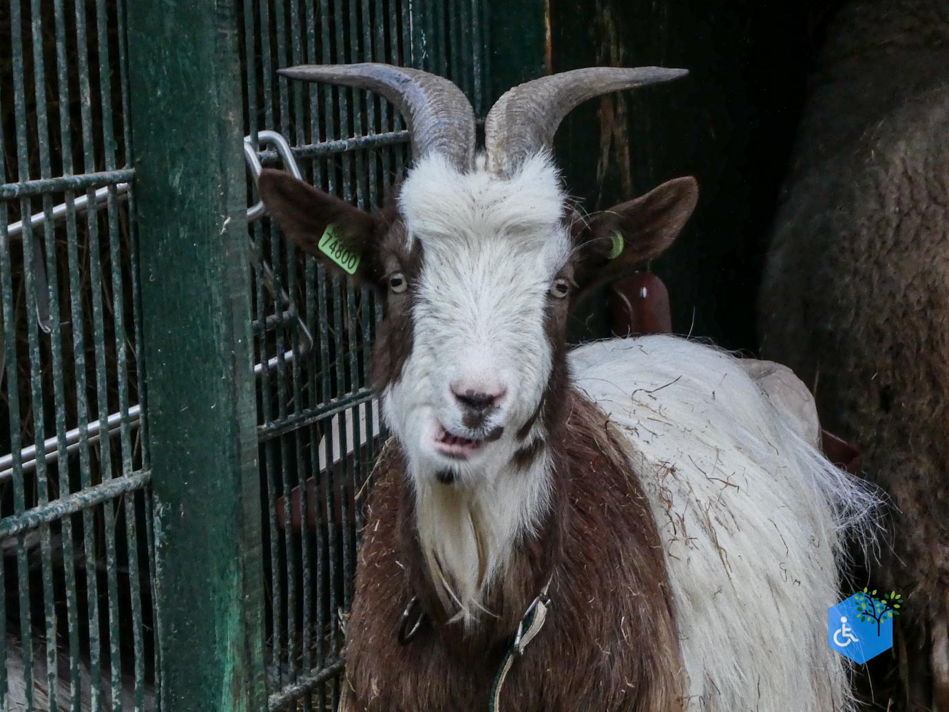 Utrecht_Stadsboerderij_Gagelsteede_14-11-2025-07 Utrecht_Stadsboerderij_Gagelsteede_14-11-2025-07