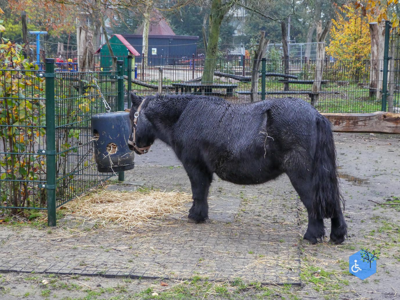 Utrecht_Stadsboerderij_Gagelsteede_14-11-2025-09 Utrecht_Stadsboerderij_Gagelsteede_14-11-2025-09