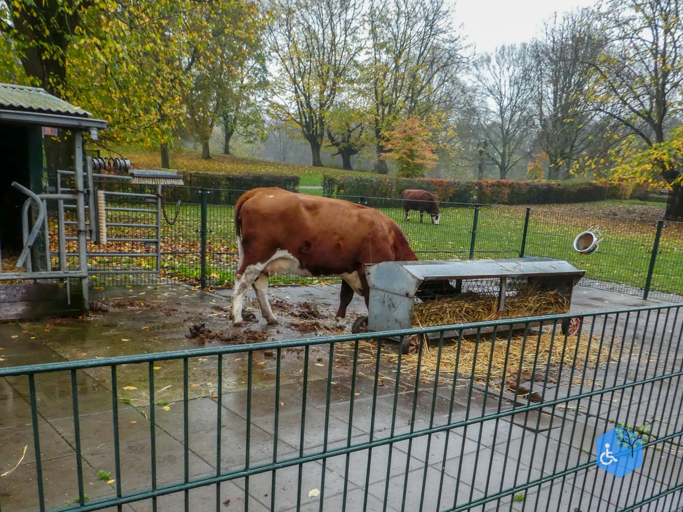 Utrecht_Stadsboerderij_Gagelsteede_14-11-2025-11 Utrecht_Stadsboerderij_Gagelsteede_14-11-2025-11