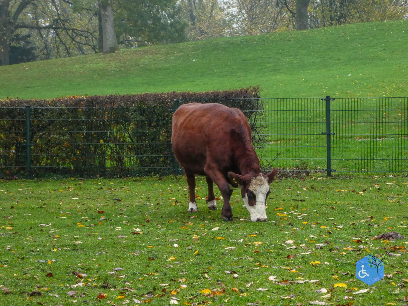 Utrecht_Stadsboerderij_Gagelsteede_14-11-2025-14 Utrecht_Stadsboerderij_Gagelsteede_14-11-2025-14